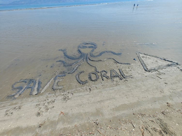 An art work calling for the saving of the Coral Triangle (Picture: Insure Our Future)