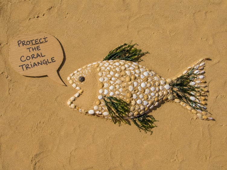 An art work design of a fish calling for the protection of the South East Asia Coral Triangle (Picture: Insure Our Future)