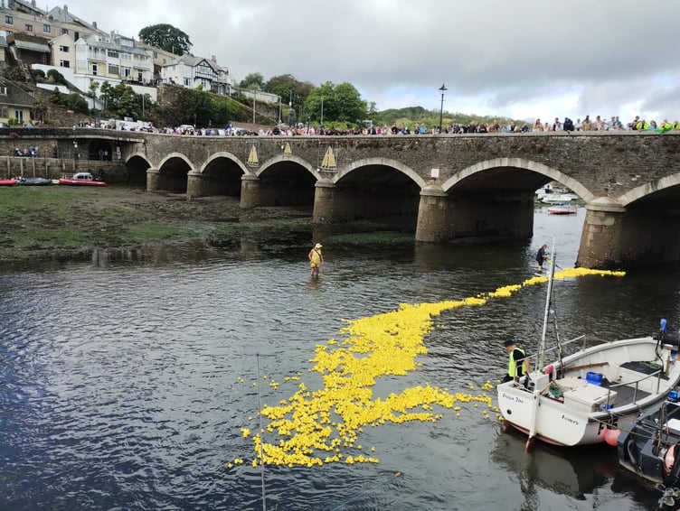 The ducks making their way along the river. (Picture: Katrina Rotgalve)