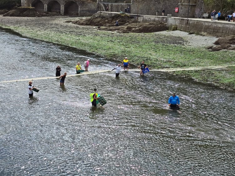 Volunteers helping in the water. (Picture: The Lions Club of Looe)
