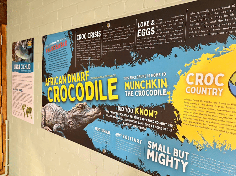 Tropiquaria Zoo wants visitors to learn more about the lives and importance of crocodiles.
