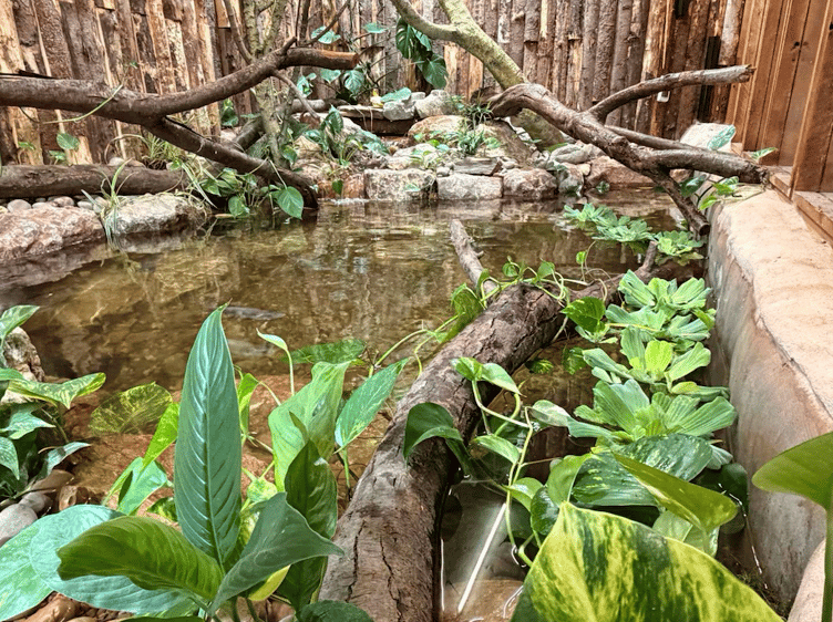 Local firms gave materials and labour to help build a crocodile house in Tropiquaria Zoo with supporters making donations to part-fund it.