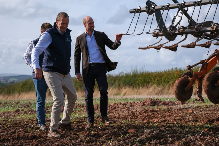 Prince William with Harry on the farm