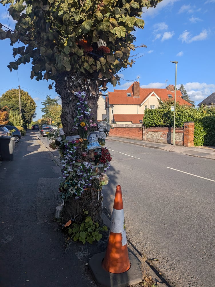 The tree in Ridgway, Farnham decorated in honour of biker