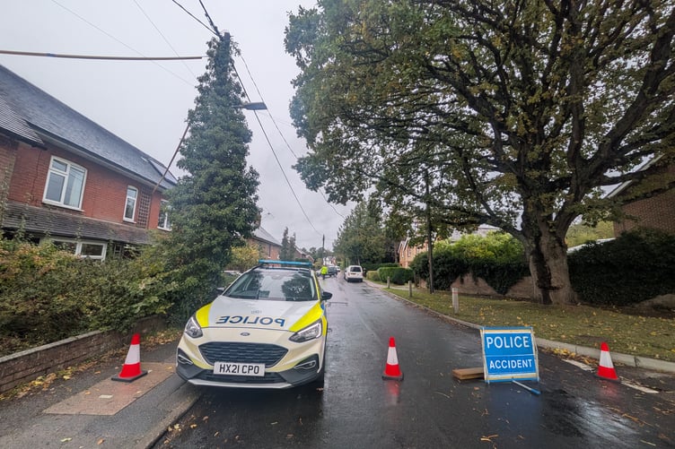 PP Liss Forest Road Closure PIC2.jpg