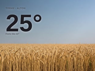Alton: sunny day, high of 25°C