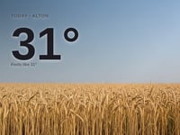 Alton: sunny day, high of 31°C